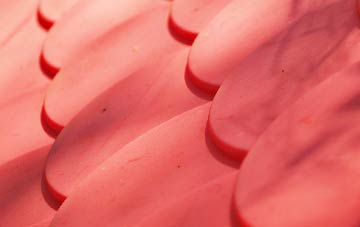 Fron Bache plastic roof costs