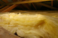 Fron Bache pitch roof insulation